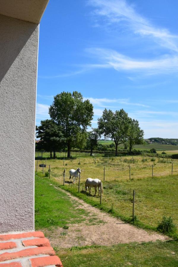 Le Clos De L'Angley Gites Et Ecurie Caffiers Екстер'єр фото