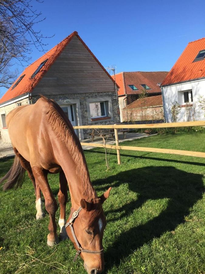 Le Clos De L'Angley Gites Et Ecurie Caffiers Екстер'єр фото